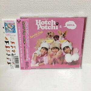 中古CD★ ハッチポッチとネロくん / Surfin'Dog ～BOYS盤～ ★