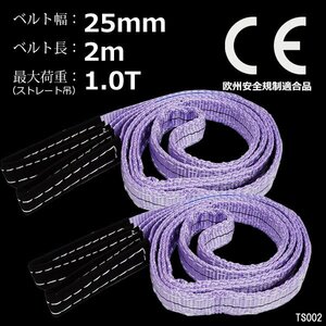 ナイロンスリングベルト【2本セット】幅25mm×2m 耐荷1000kg CE規格品 ベルトスリング 紫/12