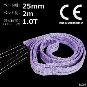 ナイロンスリングベルト【1本】幅25mm×2m 耐荷1000kg CE規格品 ベルトスリング 紫/20