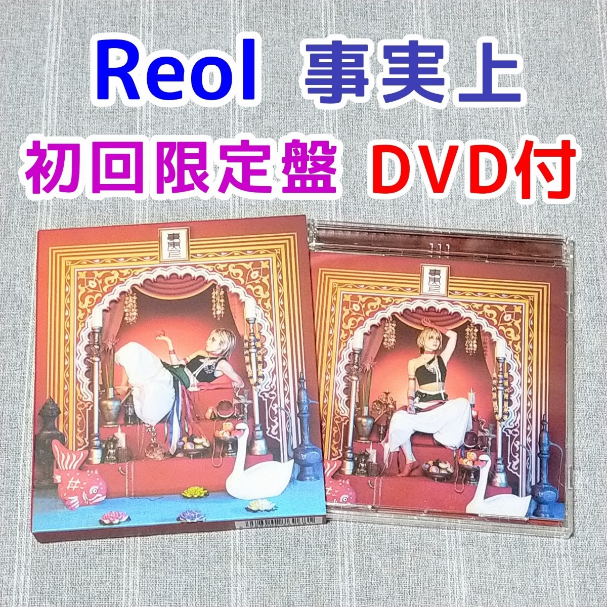 2022年最新海外 mandhucollege.edu.mv Reol 半額品 極彩色 白いreol