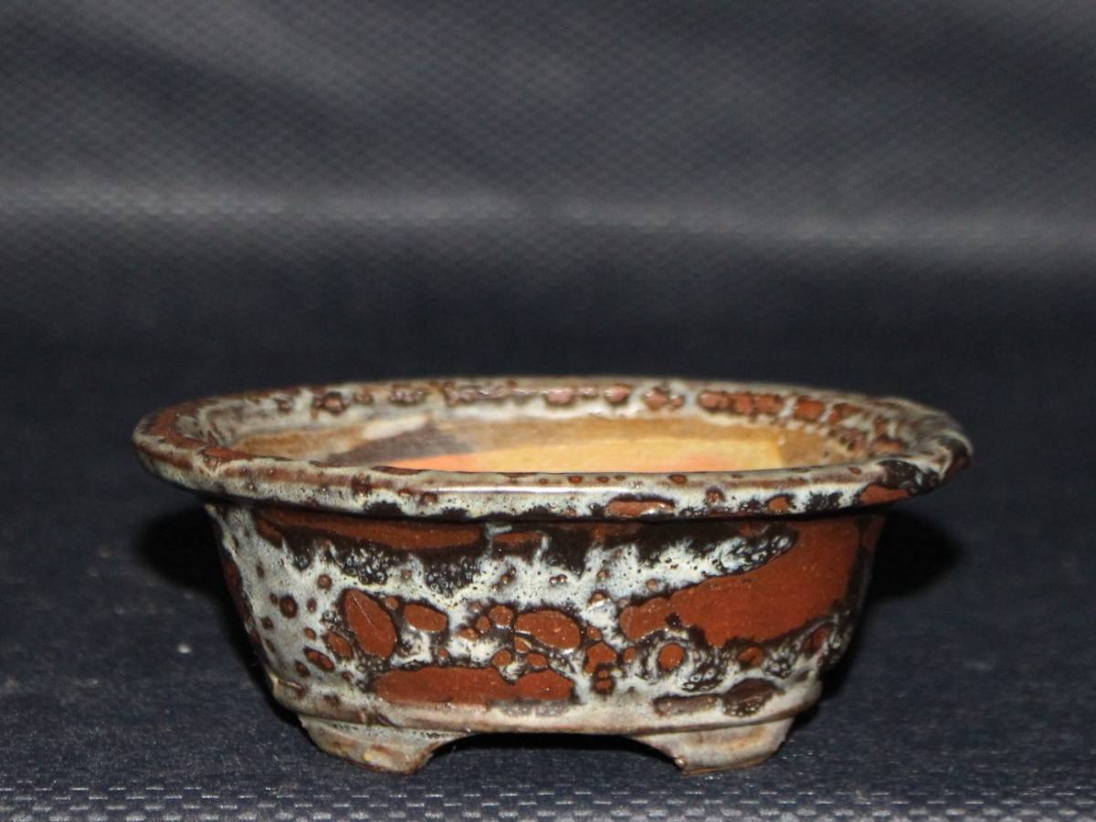 ヤフオク! -古 盆栽鉢(花、園芸)の中古品・新品・未使用品一覧