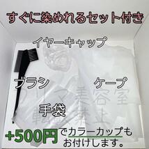 最安値！資生堂　ヘアカラー すぐに染めれるセット（ロングヘア用）ベイリーフグリーン7_画像4