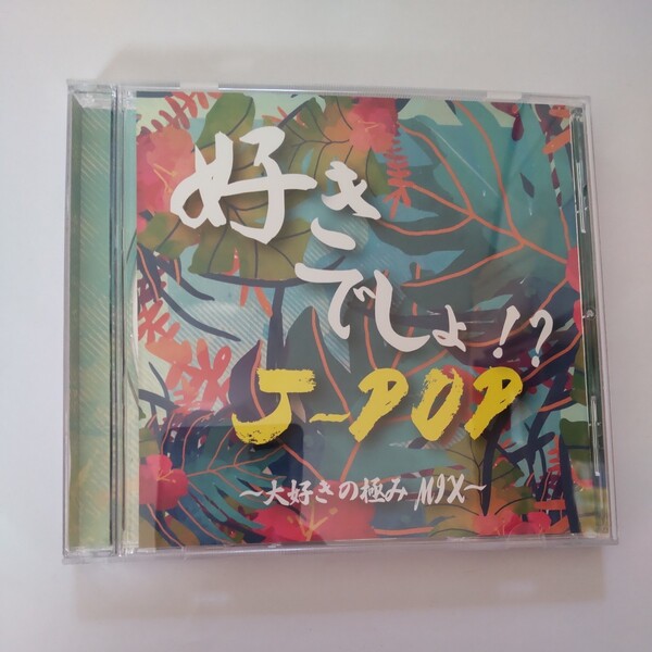 好きでしょ!? J−POP〜大好きの極みMIX〜 (オムニバス) AIE−girlsMay.JJUJUシェネル西野カナPerfume