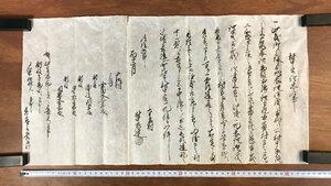 LL-4649 ■送料無料■ 村中定証文之事 明治6年 御上様分地券 肉筆 和書 古書 古文書 /くYUら