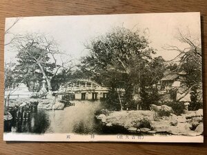 PP-9740 ■送料無料■ 大阪府 住吉大社神苑 橋 庭園 庭 神社 寺 宗教 風景 景色 レトロ 絵葉書 エンタイア 写真 古写真/くNAら