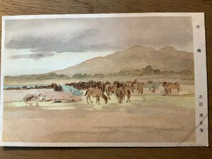 Art hand Auction PP-9781 ■Free Shipping■ Waiting Yoshida Hiroshi, Horse, Imperial Japanese Army, Military, Painter, Military Mail, Painting, Artwork, Landscape, Prewar, Retro, Postcard, Photo, Old Photo/Kunara, Printed materials, Postcard, Postcard, others