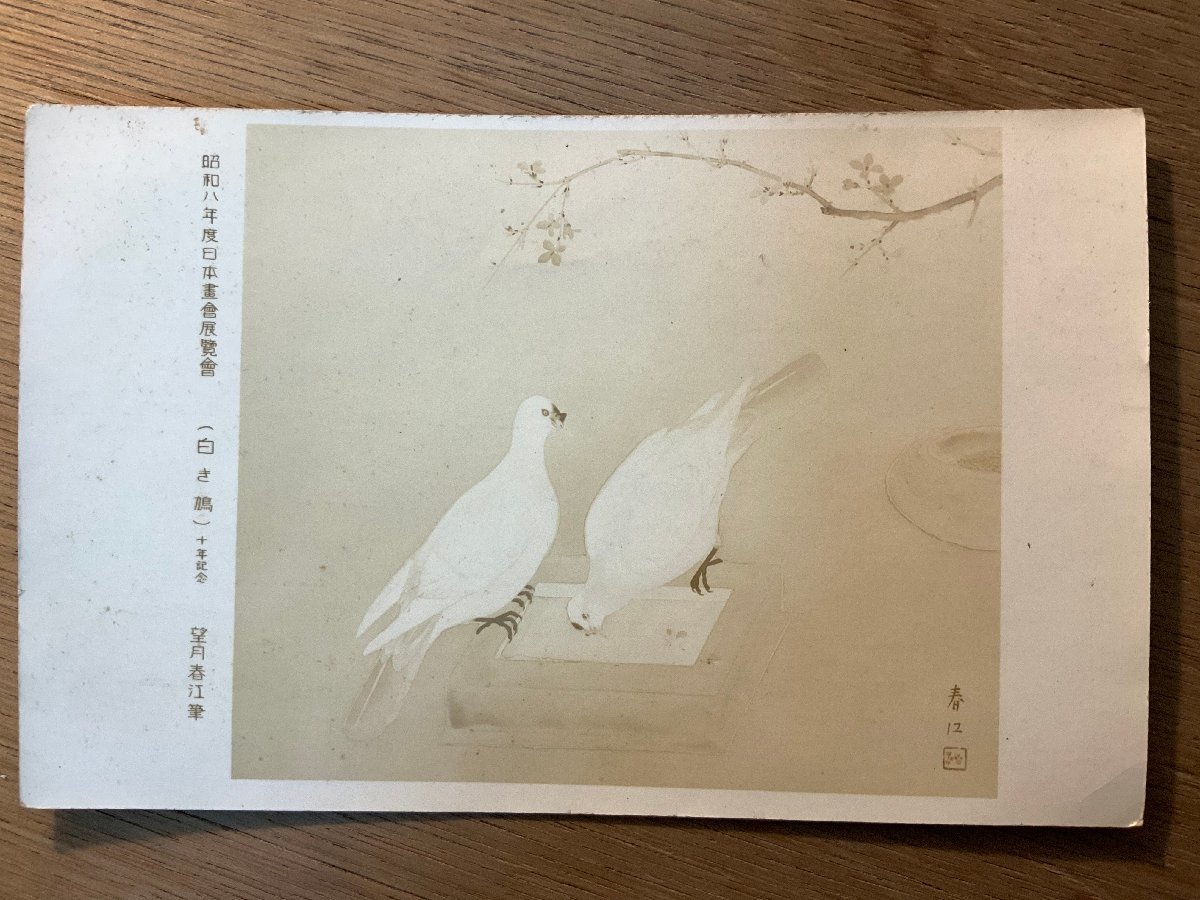PP-9919 ■免运费■ Harue Mochizuki 创作的《白鸽》, 1933, 绘画, 艺术, 鸟, 鸽子, 复古的, 战前, 明信片, 全部的, 照片, 旧照片/Kunara, 印刷材料, 明信片, 明信片, 其他的