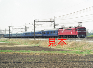 鉄道写真、645ネガデータ、165241770009、EF81-81＋24系（乗務員訓練運転）、JR東北本線、東大宮〜蓮田、2012.04.04、（4591×3362）