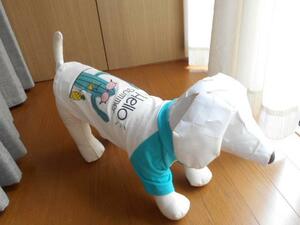 小型犬★Hello Summer ラグランシャツ　Tシャツ　S　犬服
