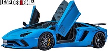 【M’s】LAMBORGHINI Aventador LP740-4 S / LEAP DESIGN サイドステップ 左右 ／／ カーボン エアロ リープデザイン カスタム シンプル_画像3