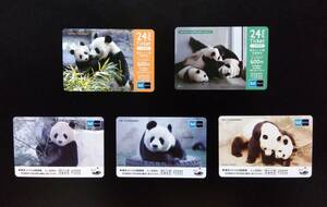 使用済 東京メトロ24時間券 ジャイアントパンダ カード 5枚セット シンシンシャンシャンシャオシャオレイレイランランカンカン 上野動物園