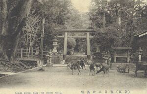 奈良 春日神社 二の鳥居★明治大正時代★戦前古絵葉書★n397