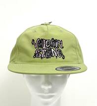 VOLCOM ボルコム D5512303RFP③ キャップ 帽子 Cap 5パネル ユーポン社製 リーフピンク色 薄いグリーン ヴォルコム 新品 即決 送料無料_画像2