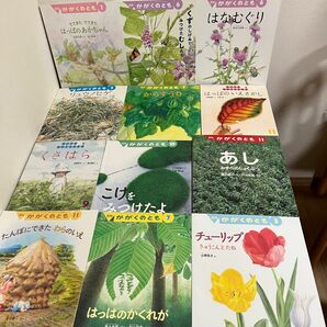 かがくのとも　草花の絵本　12冊セット