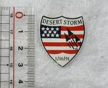 米軍 湾岸戦争 デザートストーム作戦ピン DESERT STORM PIN クラッチバック_画像2