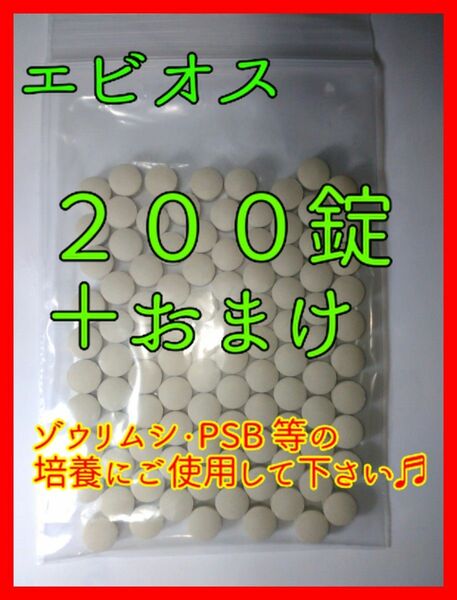 エビオス錠 ２００錠＋おまけ　/ゾウリムシ/PSB/培養酵母/ビール酵母/めだか/稚魚/卵/金魚/餌/エビ/種水/培養/酵母