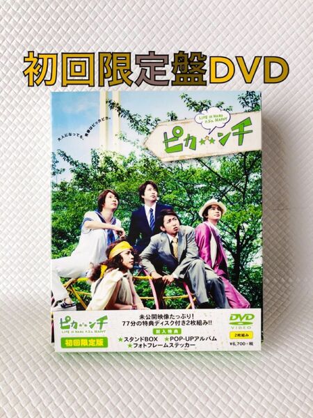 【初回限定盤DVD】嵐主演『ピカンチ』2枚組　　　　s1535a