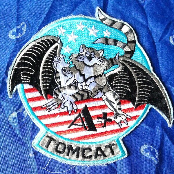 ワッペンマニア☆米軍モノ「TOMCAT」激シブ！