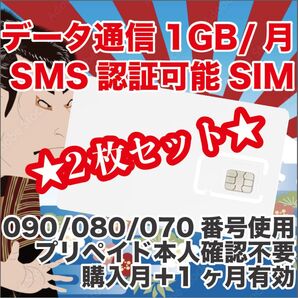 2枚セット プリペイドSIM データ通信1GB/月 SMS受信 090/080/070