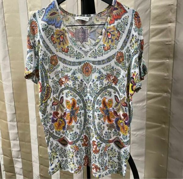 ETRO エトロ　44 Tシャツ　トップス ボタニカル柄　柄　イタリア製　半袖　