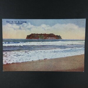 【絵葉書1610】神奈川県 相洲 江の島 江ノ島の遠望 海辺 海岸 / 戦前絵はがき 古写真 郷土資料