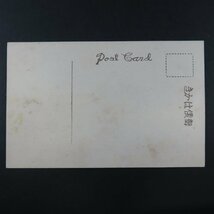 【絵葉書1856】滋賀 琵琶湖島巡り 長命寺より琵琶湖を望む 記念印 記念スタンプ / 戦前絵はがき 古写真 郷土資料_画像6