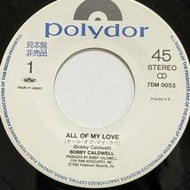 ボビー コールドウェル BOBBY CALDWELL オール オブ マイ ラヴ ALL OF MY LOVE キャットウォーク CATWALK 7inch 7インチ EP 国内盤 見本盤_画像2