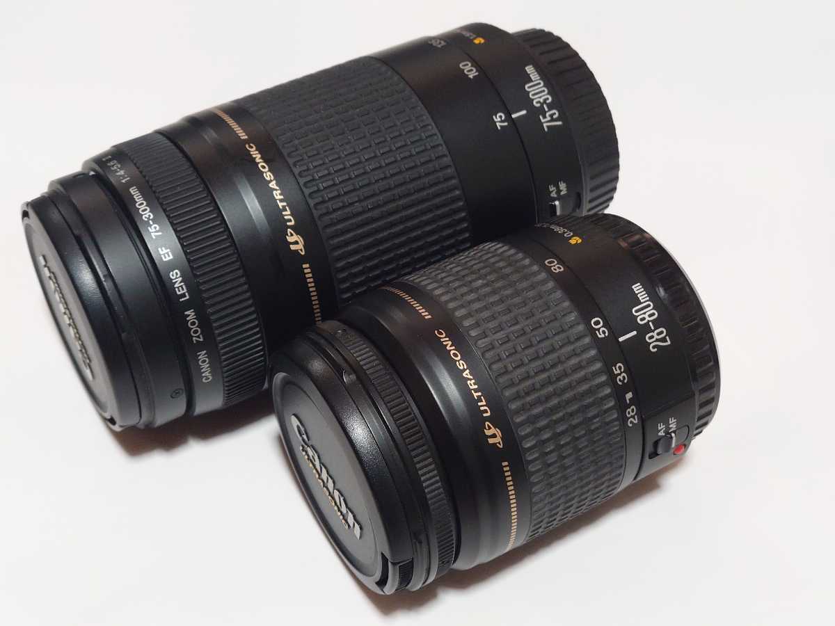 ヤフオク! -「canon 75-300」の落札相場・落札価格