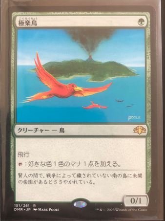 ネット限定】 専用 MTG 各種極楽鳥1枚ずつ、楽園の拡散1枚ずつ ネット限定】 専用 MTG 各種極楽鳥1枚ずつ、楽園の拡散1枚ずつ