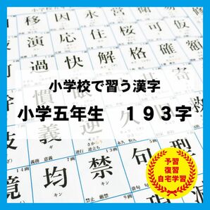 小学5年生で習う　漢字　国語　暗記　知育教材