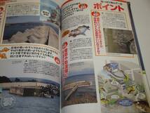 即決 海の陸っぱりルアー500の質問 2012-2013年度版 500問読破すればどんな魚でも釣れる?_画像5