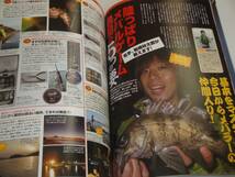 即決 海の陸っぱりルアー500の質問 2012-2013年度版 500問読破すればどんな魚でも釣れる?_画像4