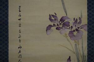 Art hand Auction [Auténtico] // Ameishi / Pintura de iris y libélula / Pergamino colgante Hotei HE-445, Cuadro, pintura japonesa, Flores y pájaros, Fauna silvestre