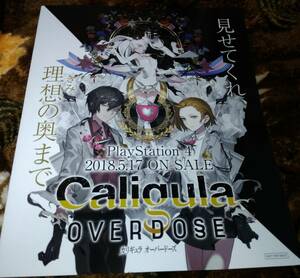 カリギュラ オーバードーズ Caligula Overdose 小冊子☆非売品☆限定☆アニメ