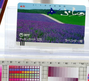 [Delivery Free]1990s～ Telephone Card Hokkaido Furano Lavender Field テレホンカード 北海道　富良野　ラベンダー畑 [tagCard]