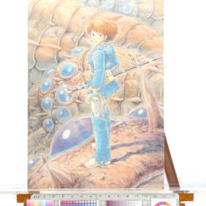 [Delivery Free]1980s～ Anime Nausicaa of the Walley of the Wind(Hayao Miyazaki)Sticker アニメシール風の谷のナウシカ宮崎駿[tagCard]