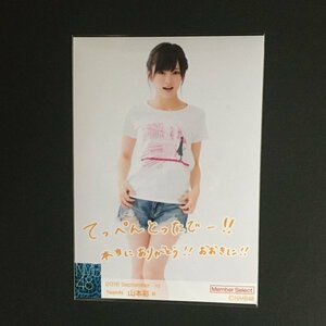 NMB48 山本彩 生写真 月別ランダム 2016 September B ［Member serect］