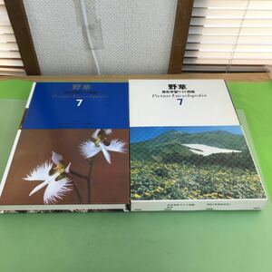 E53-043 野草 原色学習ワイド図鑑 7 学研