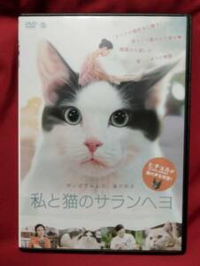 [韓国映画]　私と猫のサランヘヨ　やっぱりみんな、猫が好き　すべての猫好きに贈る!　レンタル専用商品