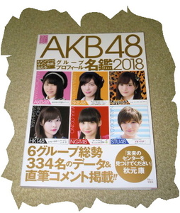 ◆ＡＫＢ４８◆グループプロフィール名鑑2018