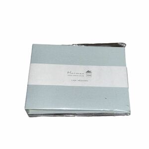 ナカバヤシ　ポケットアルバム　２０枚　L判４０枚収納　ミントブルー　新品未使用　日本製