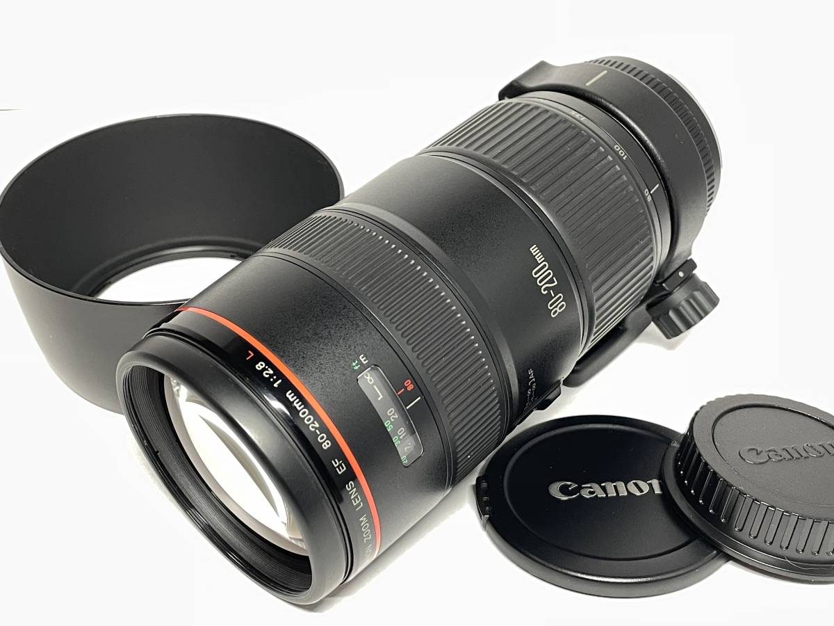 L11 / キャノン EF 80-200mm F2.8 L /4513C | www.tspea.org