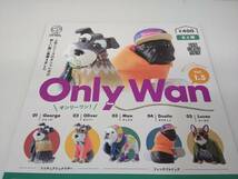 Only WAN Vol.1. オンリーワン！【フレンチブルドッグ ダスティン】単品 ガチャ 犬_画像3
