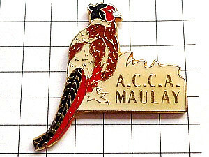  pin badge * tail length bird hunting hunting * France limitation pin z* rare . Vintage thing pin bachi