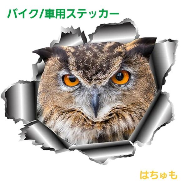 バイク 車 3D 防水 ステッカー 猛禽類 フクロウ ミミズク
