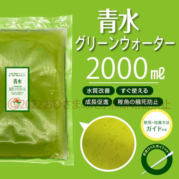 簡単便利【青水　グリーンウォーター　2000ml】メダカ　めだか　金魚　熱帯魚　ミジンコ　ゾウリムシ　PSB　針子にどうぞ　スポイト付き