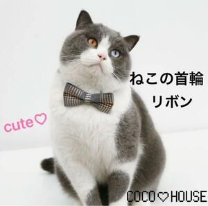  cat. necklace ribbon gray 