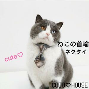  кошка. ошейник галстук серый 