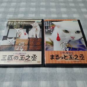 送料無料☆レンタル落ちDVD 猫侍 いやし猫DVD まるっと玉之丞 2本セット