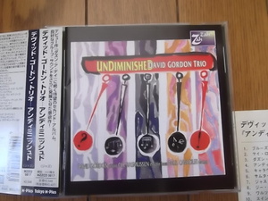 ★ピアノ・トリオ！デヴィッド・ゴードン DAVID GORDON TRIO (寺島靖国氏